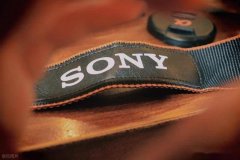 <strong>较前一交易日上涨0.37美元</strong>